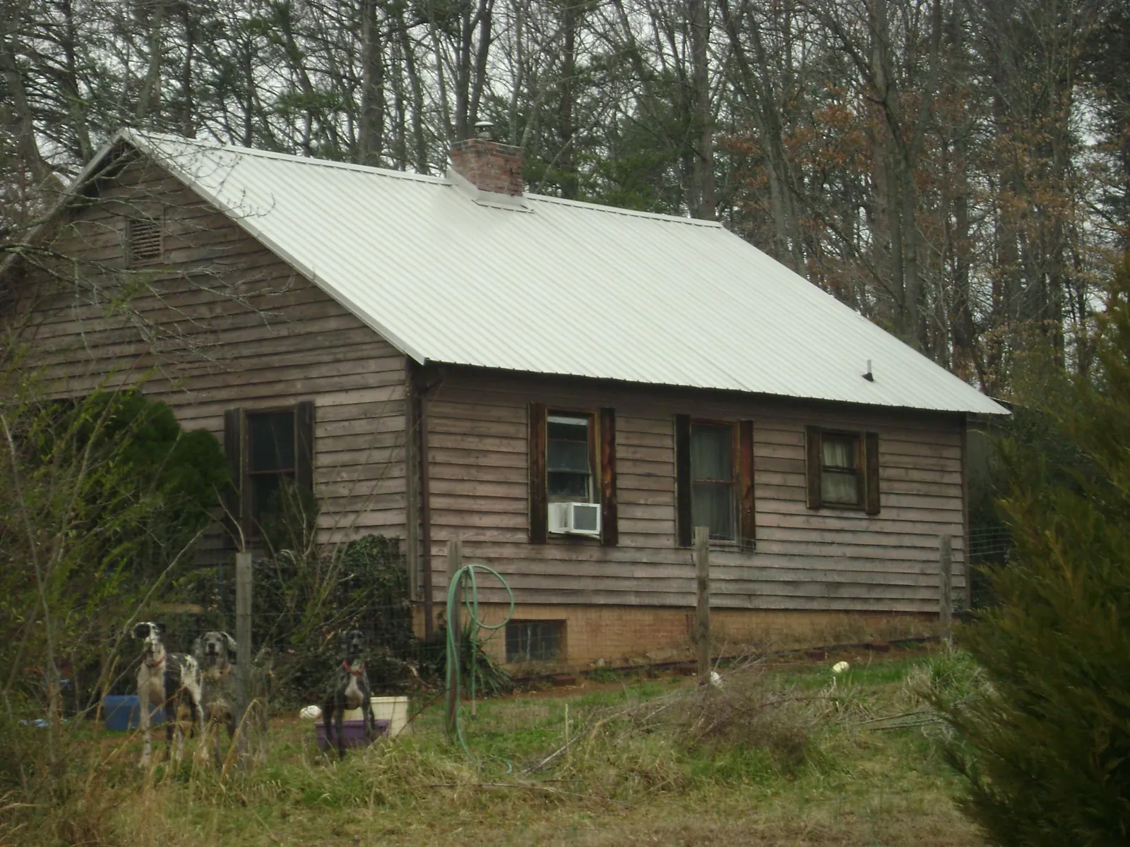 White metal roof on an old wood sided farmhouse, from a Metal Roof Installation job in Suquamish